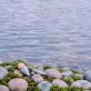 Fin de saison truite, pleine saison brochet : ce que le mois de septembre change dans le calendrier du pêcheur