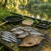 Pêche au coup en canal : gardons, ablettes et brèmes avec un équipement simple
