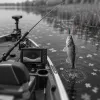 Sandre à la verticale en automne : lire son sondeur pour piquer les poissons collés au fond