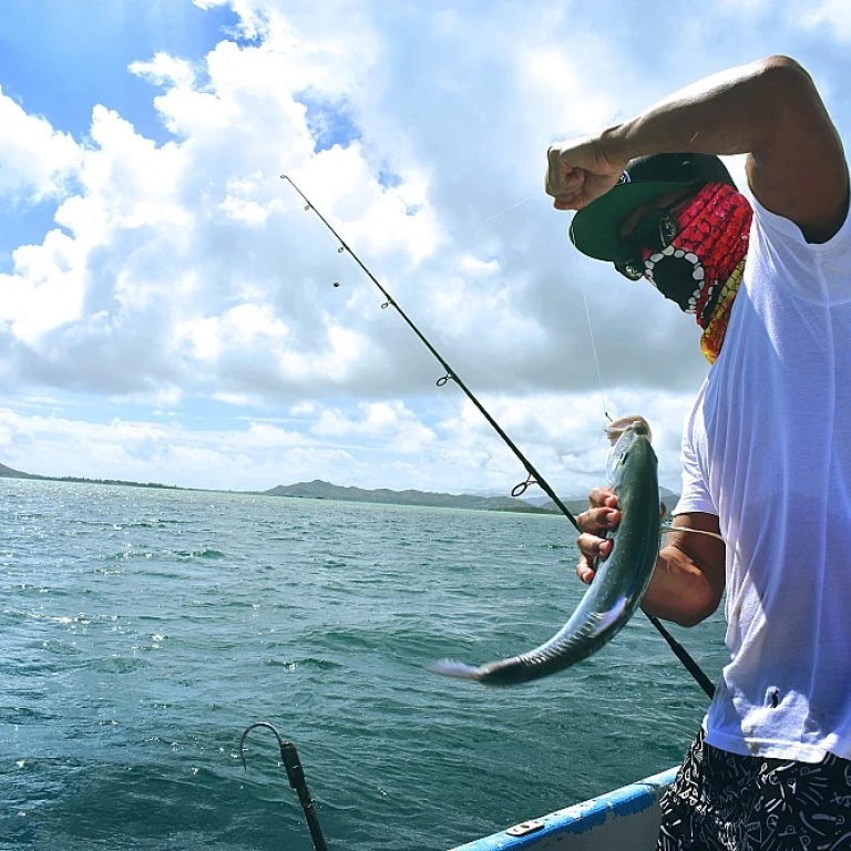À la recherche du meilleur ouvrage sur la pêche