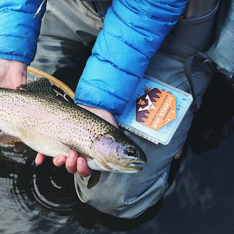 Comprendre l'importance de l'émerillon dans la pêche