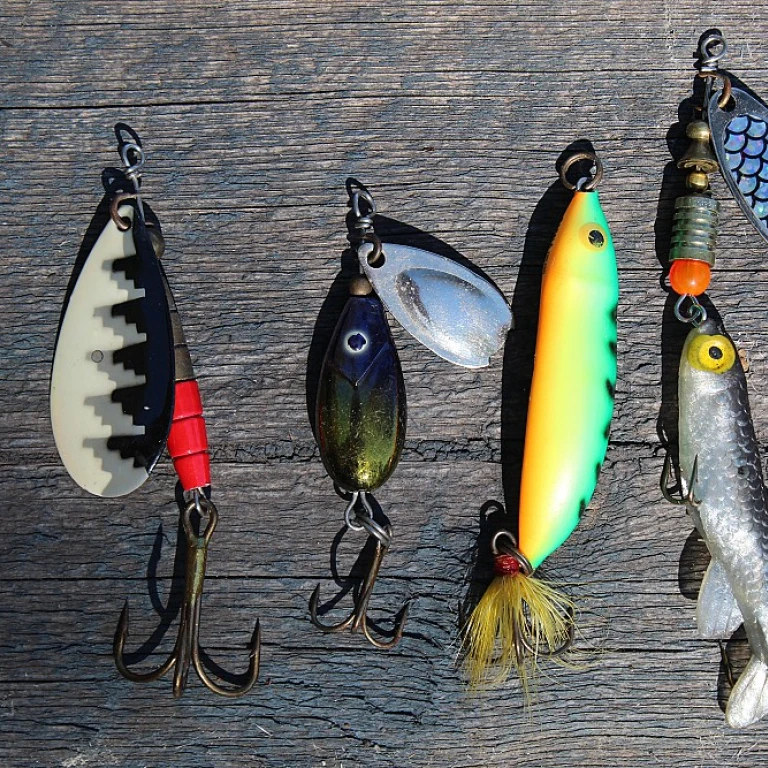 Optimiser votre pêche en bord de mer avec des leurres