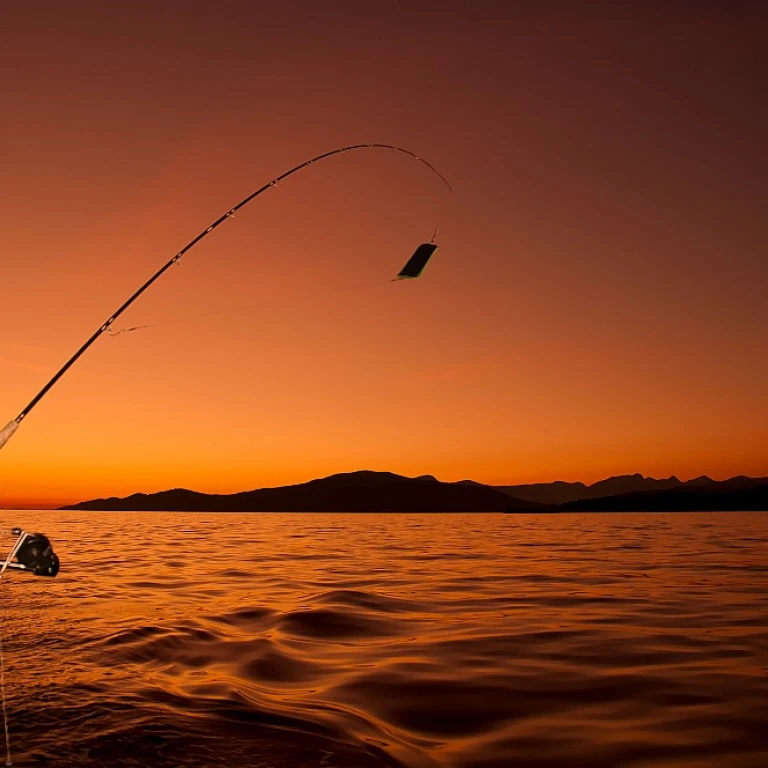 Les secrets du surfcasting : maîtriser l'art de la pêche en bord de mer