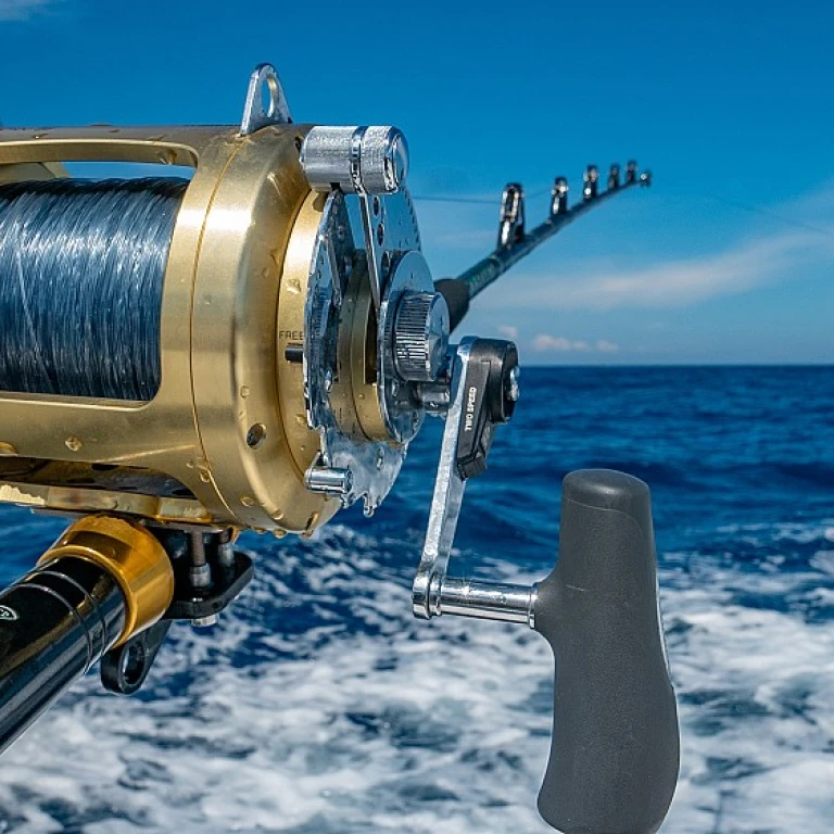 Les secrets du moulinet Shimano pour la pêche à la carpe