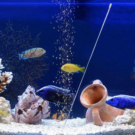 71pfBkhLZ6L._AC_SL1500_