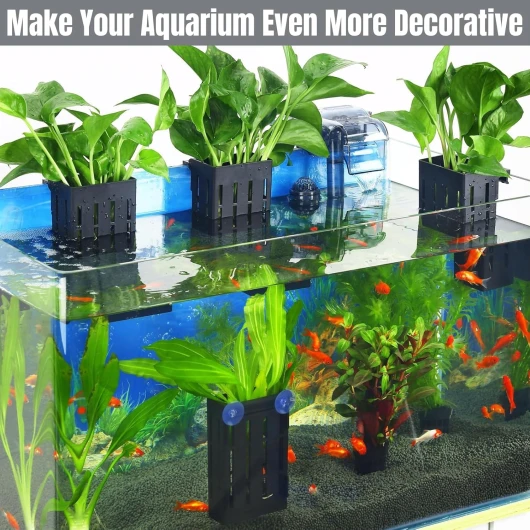 81L59M7x9LL._AC_SL1500_