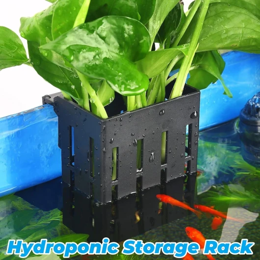 814KBkCq3eL._AC_SL1500_