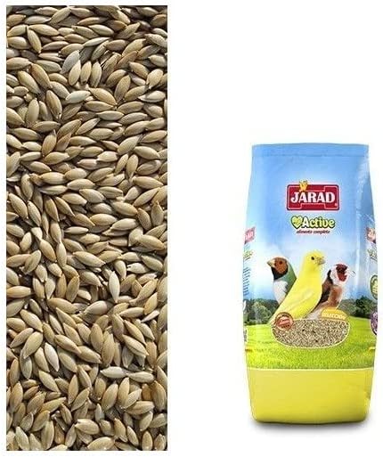 JARAD - Aliments pour Oiseaux Alpiste Extra