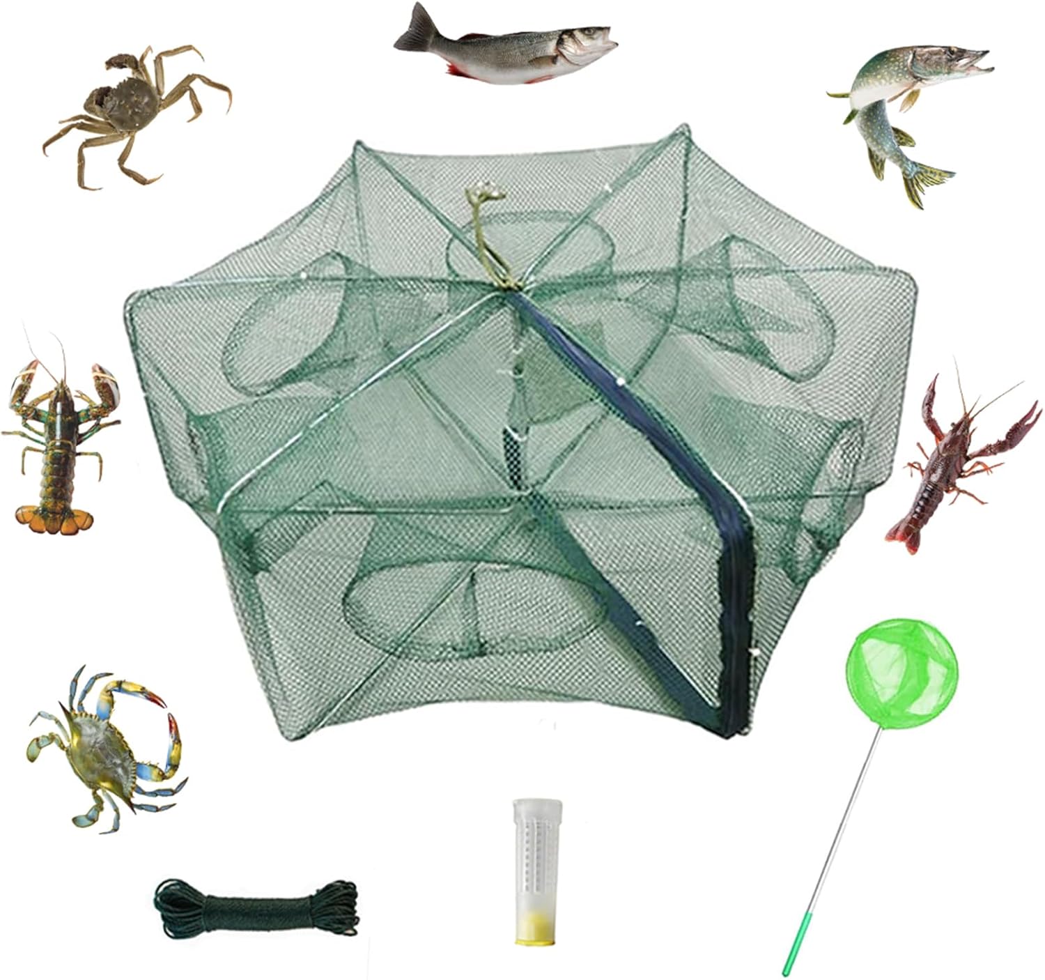 Piège à appâts Pliable pour crabes, écrevisses, ménés, crawdad crevettes et crevettes