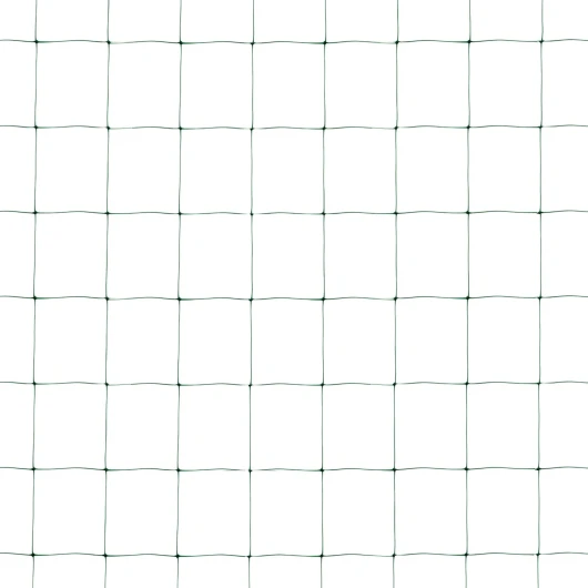 61Vd 4UqpPL._AC_SL1500_