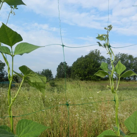 81XvYbfCIfL._AC_SL1500_