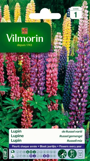 5345741 Lupin de Russel varie Multicolore 9 x 0.5 x 16 cm