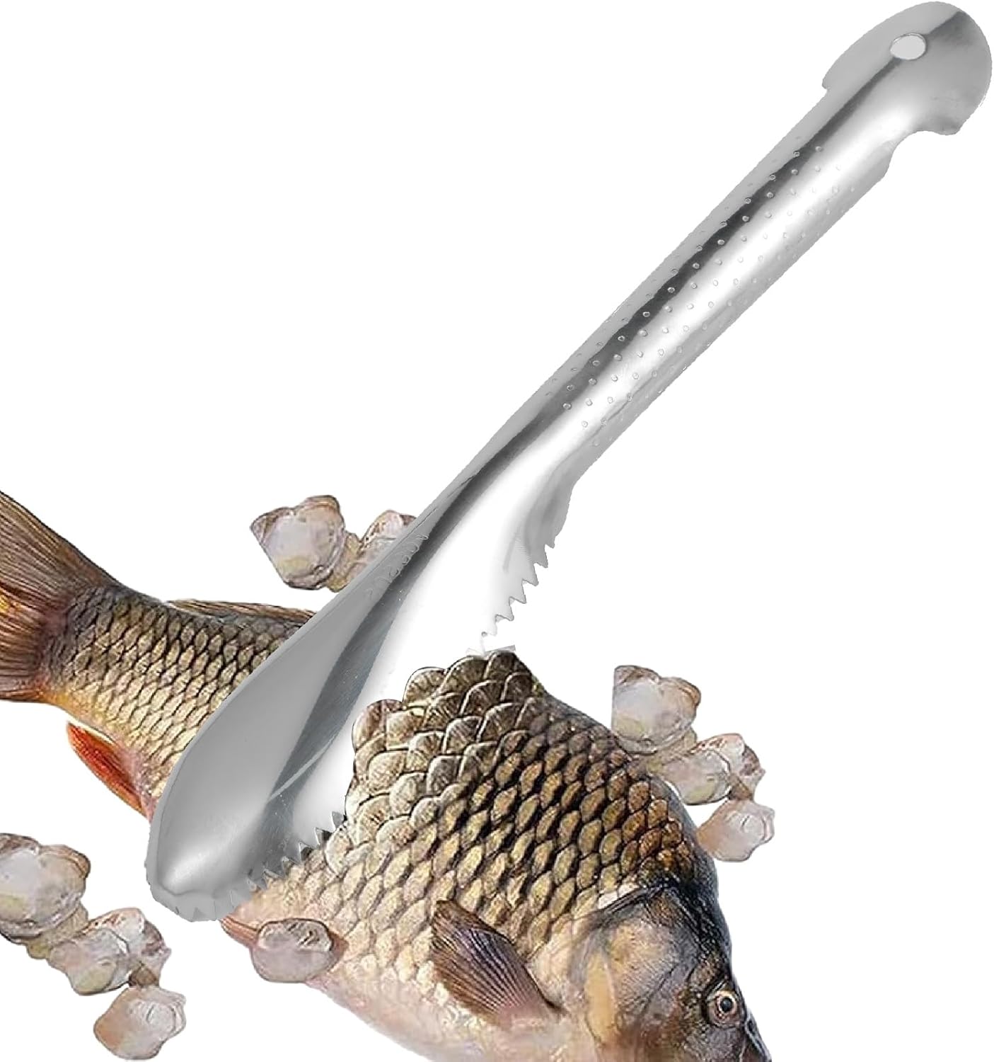 Windfromort Écailleur de poisson - En acier inoxydable - Écailleur de poisson professionnel - Outil de cuisine - Éliminateur d'écailles de poisson pour un nettoyage facile