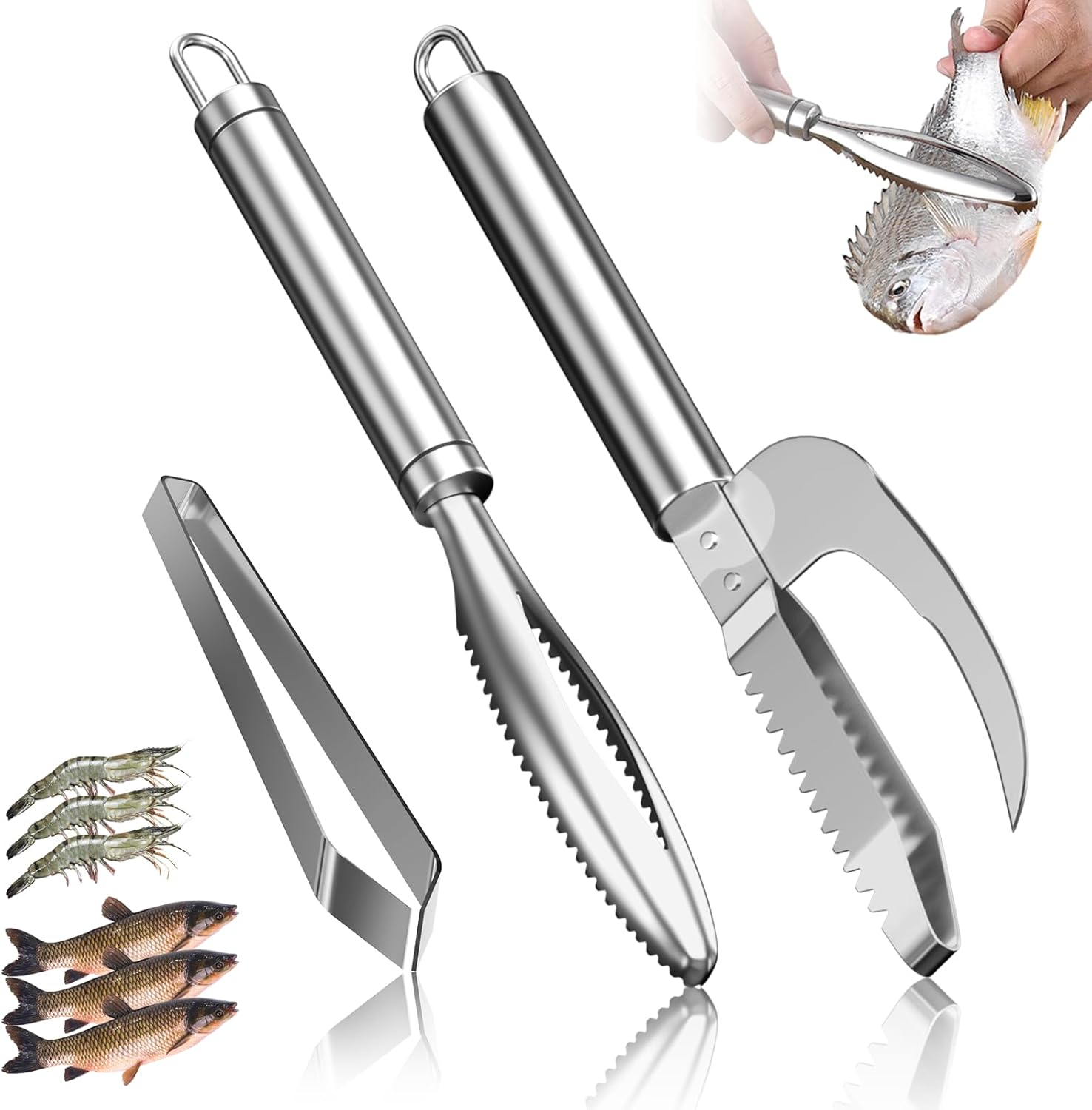 Ecailleur à Poisson Professionnel en INOX 304, Écailleur De Poisson en Acier Inoxydable avec Pince à arêtes, Enlever Les éCailles de Poisson avec Dents pour enlever Les écailles et Les os de Poissons