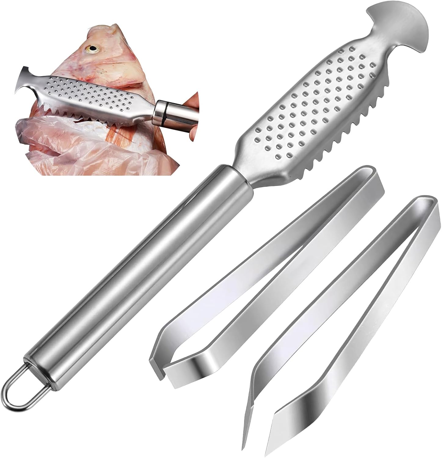 AYHYHLJZJ Écailleur de Poisson en Acier Inoxydable, Pinces à arêtes, écailleur Efficace, ustensile de Cuisine pour Fruits de mer, Ergonomique et Durable