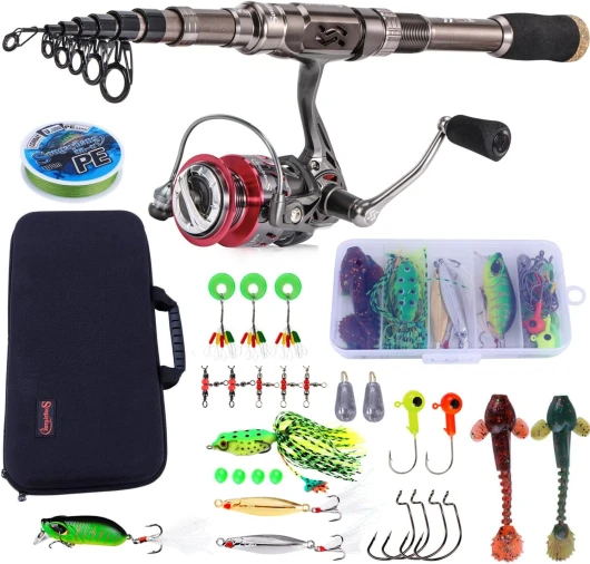 Sougayilang Ensemble Canne à pêche et Moulinet, Canne à pêche télescopique en Fibre de Carbone 12+1BB Moulinet avec Sac de Transport pour Eau salée et Eau Douce Argenté - 2.7m/8.85FT Rod+4000 Reel
