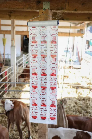 814LwrqTvfL._AC_SL1500_