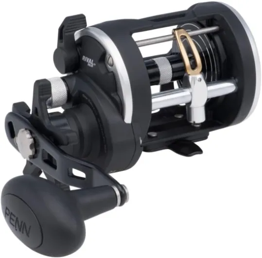 PENN Rival Level Wind moulinet à tambour tournant pour la pêche lourde en mer, pêche au jig, pêche sur épave, lieu, pagre, denti, sériole, requin 15- Left -5.1:1 -520g