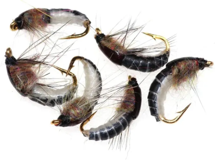 Generic 6 pièces 12 réaliste Nymphe Scud Mouche pour la pêche à la Truite Insecte Artificiel Appât Leurre Matériel de Pêche