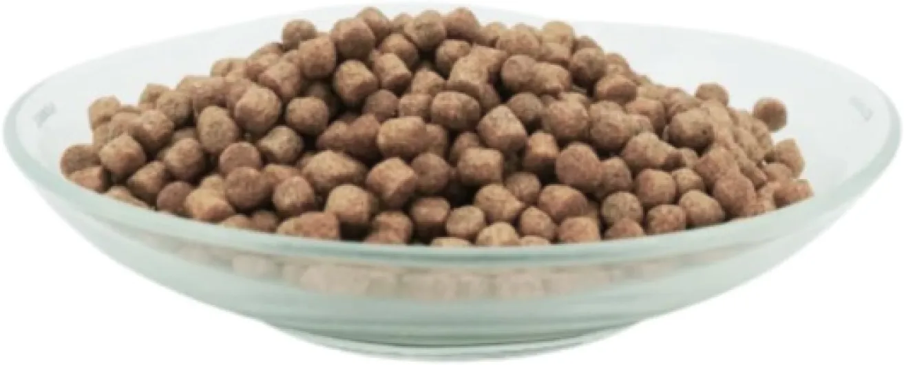 51n3zrT9fJL._AC_SL1500_