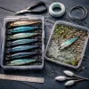 Brochet au jerkbait : lire les zones peu profondes comme un guide professionnel
