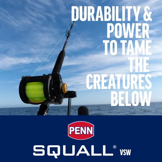 PENN Squall Lever Drag 2 moulinet à tambour tournant pour la pêche en mer en bateau, pêche vertical, jigging, pêche sur épave, pêche exotique 50- Right -2 Speed