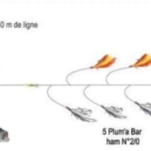 Test FLASHMER Ecoline Ligne de Traîne à Main : le kit prêt à pêcher pour ceux qui ne veulent pas se prendre la tête