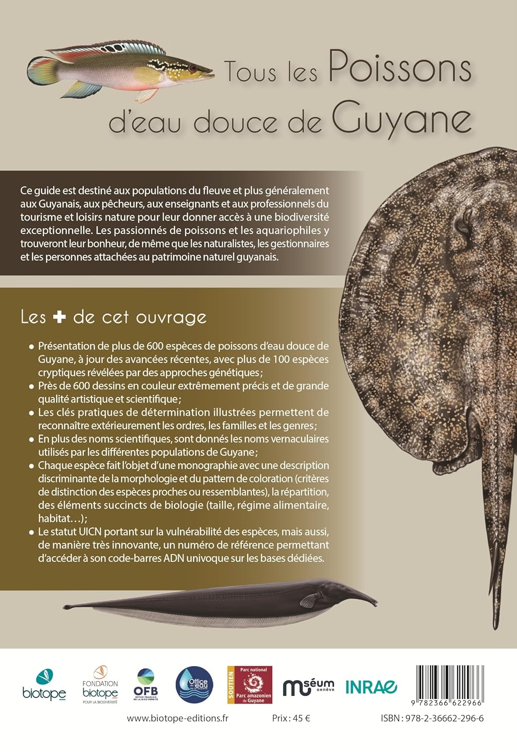 Guide des poissons d'eau douce de Guyane