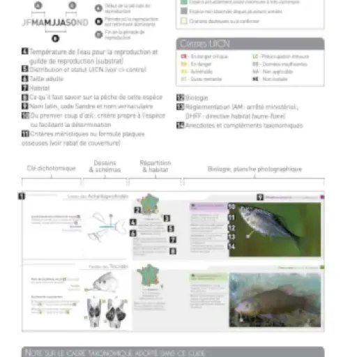 Test Cahier d'identification des poissons d'eau douce : le carnet pratique pour savoir ce qui nage sous la surface