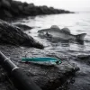 Pêche au bar du bord : pourquoi les pêcheurs de loup misent de plus en plus sur le catch and release