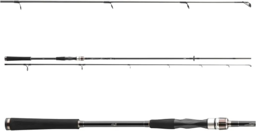 DAIWA Exceler Spin, Canne à Pêche Spinning 2.40m / 10-40g