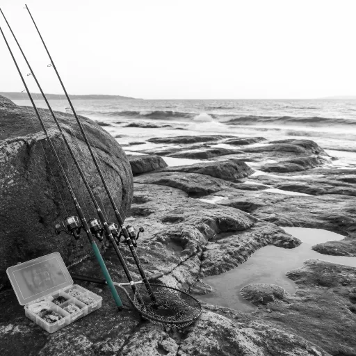 Rockfishing en bord de mer : techniques fines et cannes adaptées pour une pêche ludique
