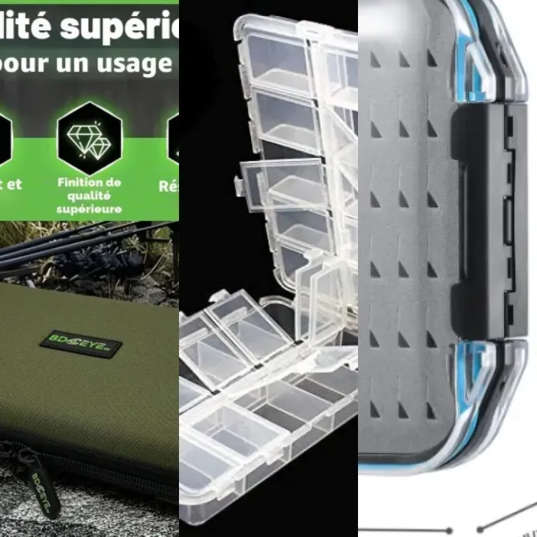 Guide d'achat : les 4 meilleurs boîtes à hameçons (2026)