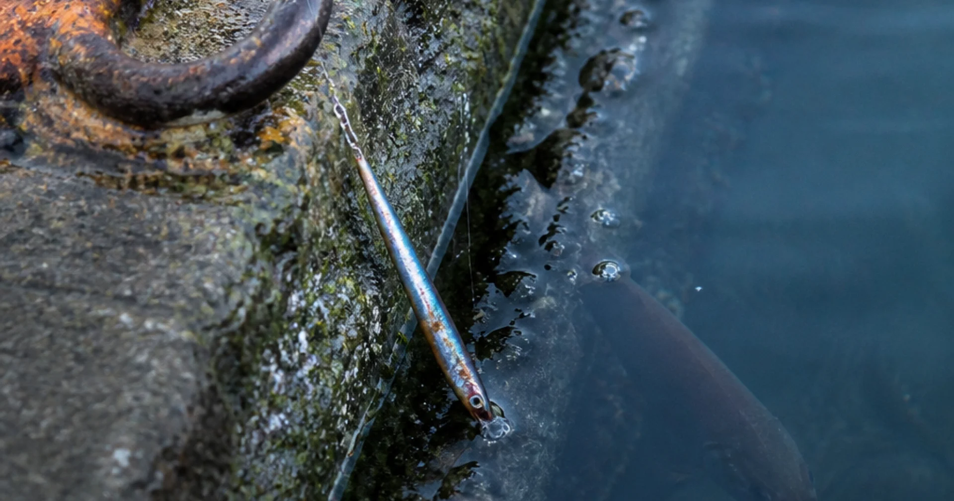 Lire l'eau avant de lancer : repérer les postes qui concentrent le poisson