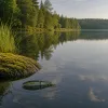 Jointed claw 178 : le swimbait articulé qui bouscule la pêche aux carnassiers